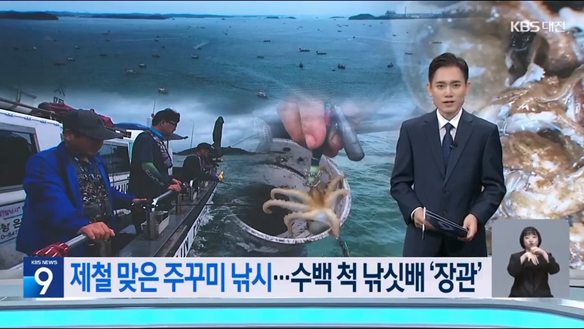 [0920 KBS 9시뉴스데스크]서해안은 지금 ‘주꾸미 대첩’…수백 척 낚싯배 ‘장관’